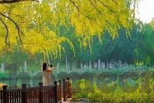 九游捕鱼游戏下载-九游捕鱼，畅游海底世界的趣味之旅