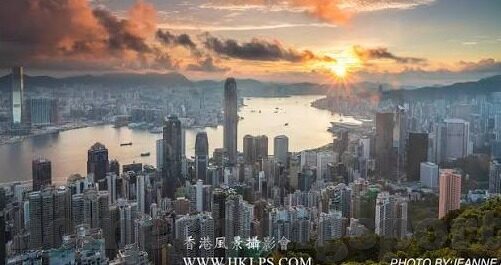 开云体育官网网站登录-用户指南，顺利登录开云体育官网